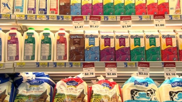 Development of the Dairy Industry