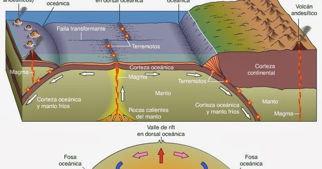 Fijista o Verticalista