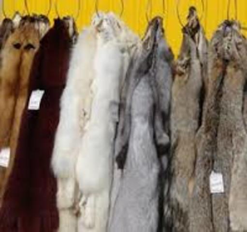 Economy Based on Fur