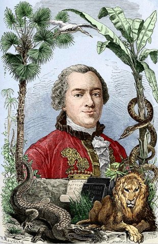 Georges Louis conde de Buffon (1781) Siglo XVIII