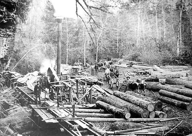 Timber Trade