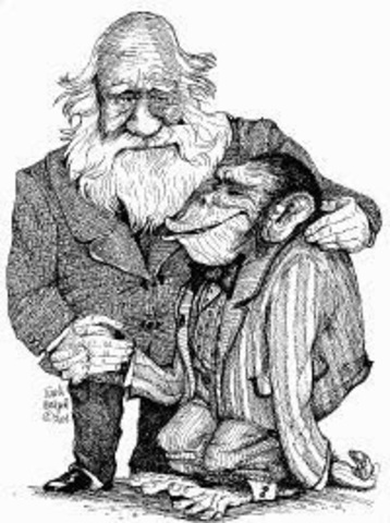 Charles Darwin (1859) Siglo XIX