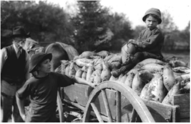 Abolishment of Corn Laws