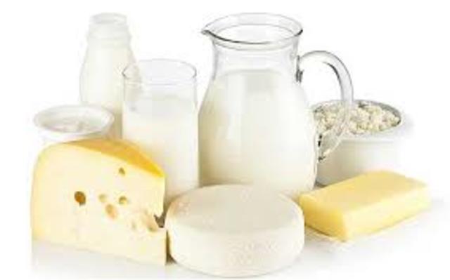 Development of the Dairy Industry