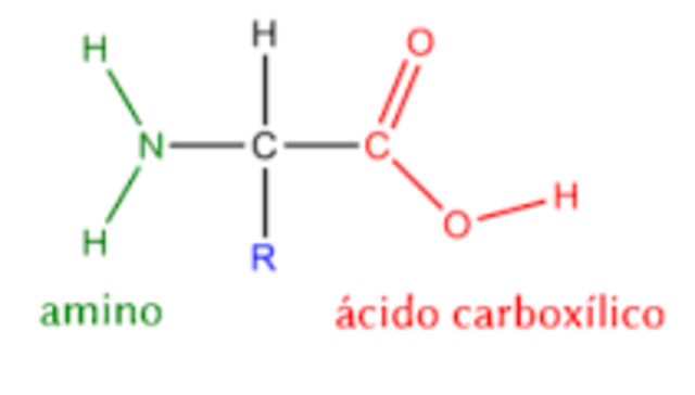 PRODUCCION INDUSTRIAL DE AMINOACIDOS