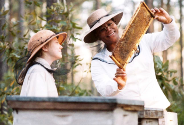 Lily becomes a true beekeeper