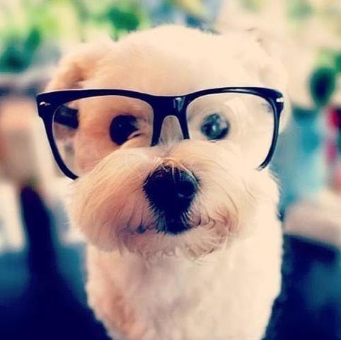 Hilda va a la escuela