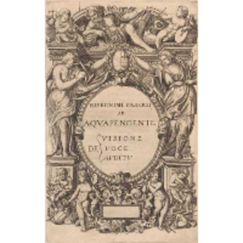 Gerolamo de Acquapendente