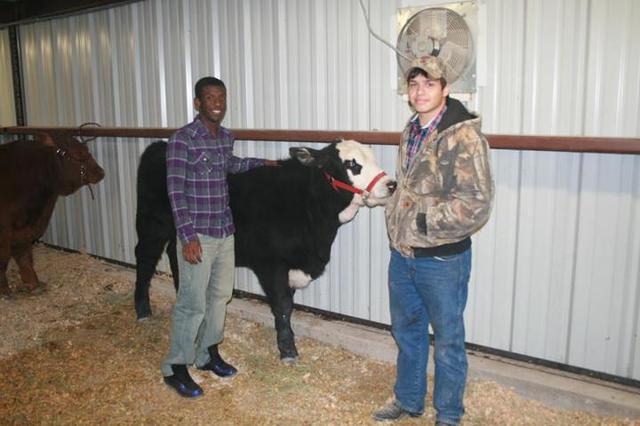 Experiencing diversity