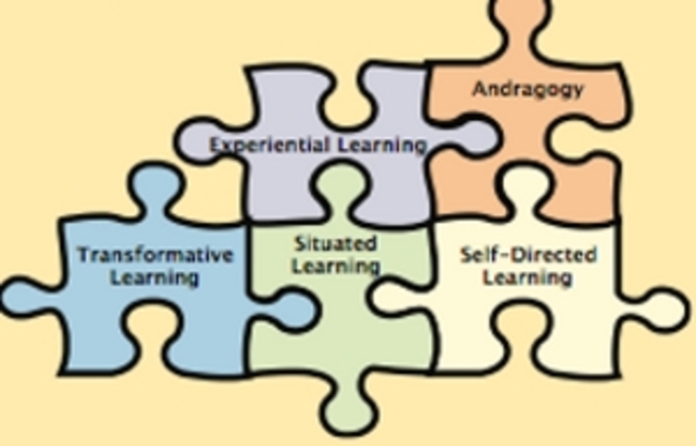 Knowles uses the term andragogy in leadership and in graduate courses