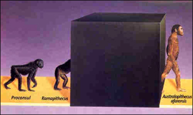 Teoría transformismo  o evolucionismo (1800)