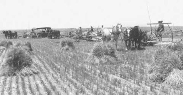 Three Conditions for Industrialization (1 Wheat)