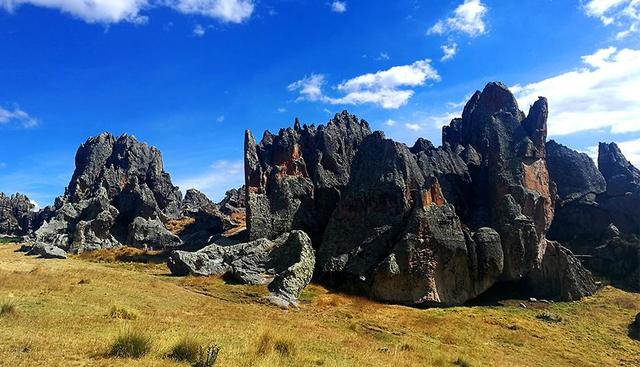 FOTOGRAFÍA DIGITAL CON RESOLUCIÓN DE 37 MEGA PIXELES