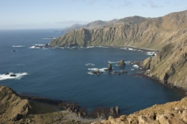 Macquarie Island - UNESCO World Heritage Centre