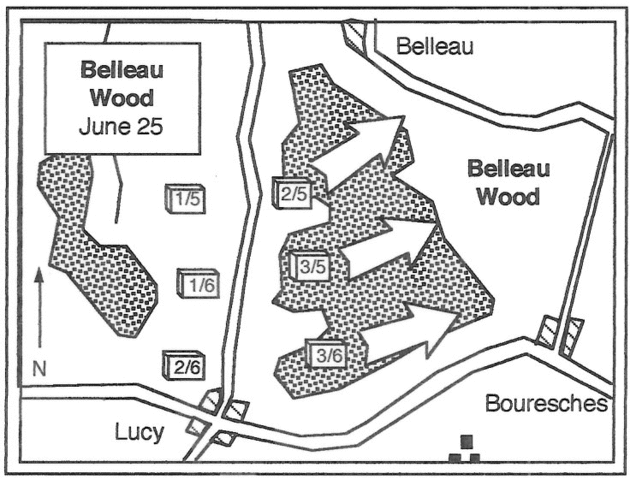 Battle of Belleau Wood: First Major Battle for Americans