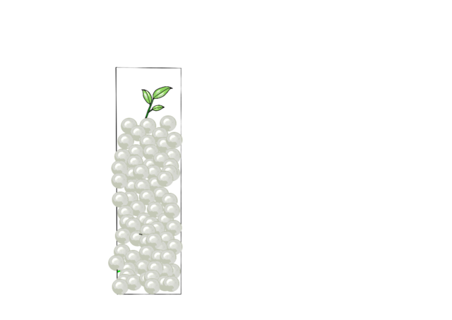 Tierra Transparente ()