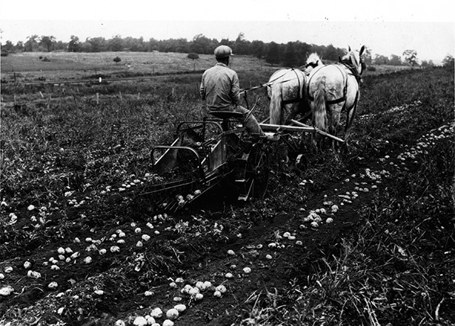 Changes in Agriculture