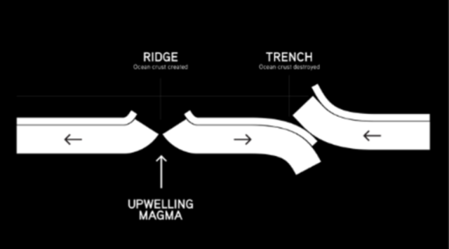 The newly developed field of paleomagnetism proved that the continents had once been positioned differently