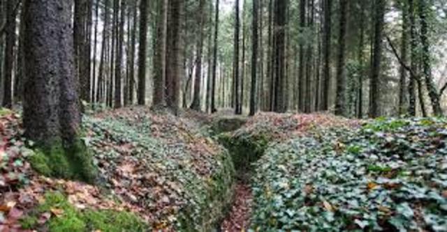 setbacks and advances