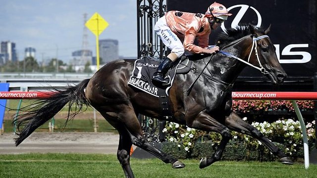 Black Caviar's Streak