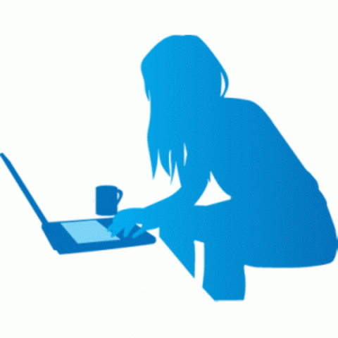 2.4 millones de internautas.