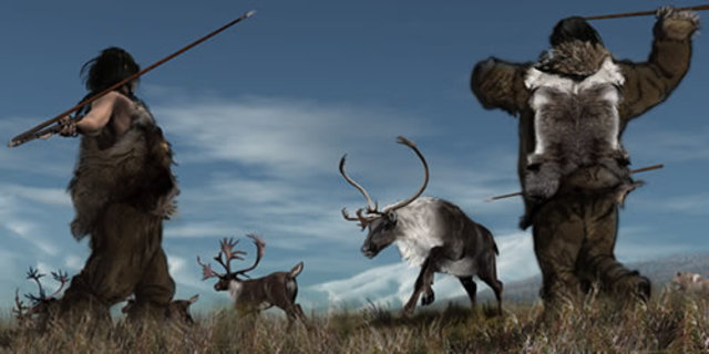 Environment and Nature