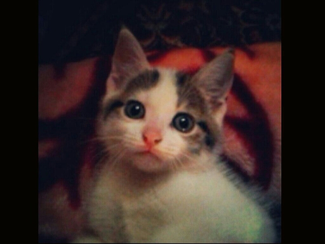 Belangrijk gebeurtenis