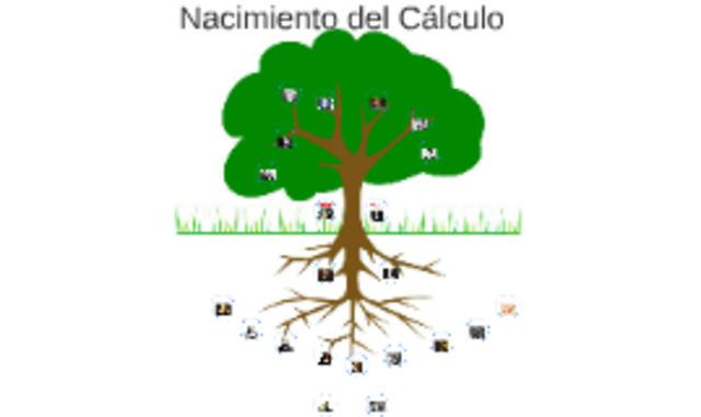 Nacimiento del Cálculo.