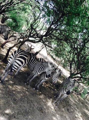 Fui al zoológico con mis amigas