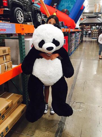No me compraron un panda :c