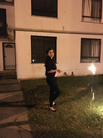 Ultima Navidad en mi casa