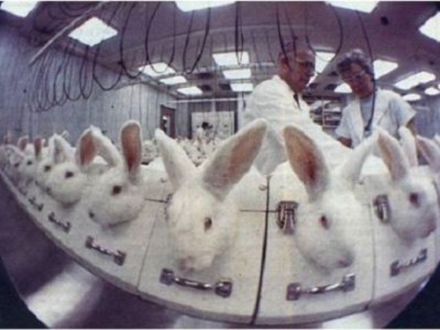 1930: Modern Antibiotics & Anestetics Created