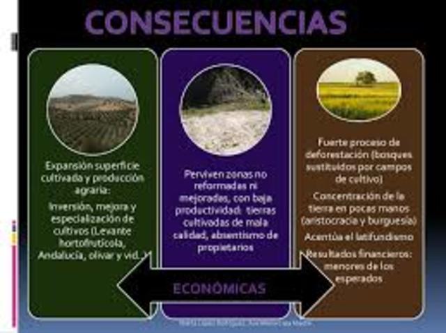 Primeras medidas desamortizadoras. Creación de la Caja de Amortización.