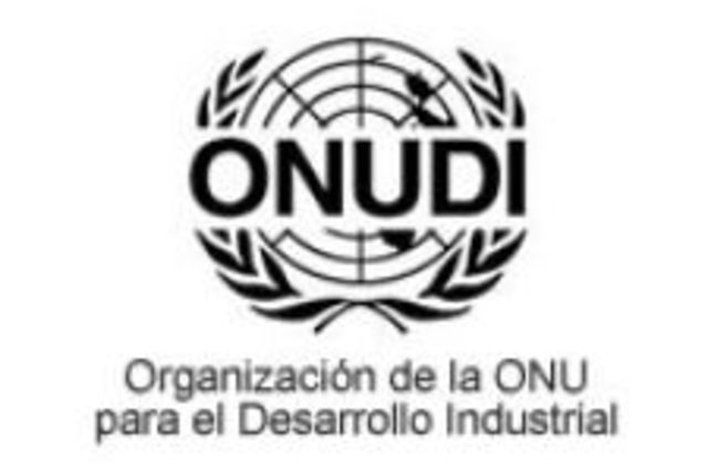 Organizacion de las Naciones Unidas para el Desarrollo Industrial (ONDUI)