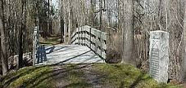 The Battle of Moores Creek Bridge