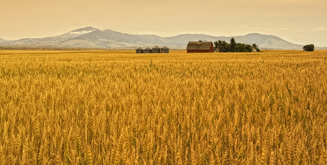 Changes in agriculture