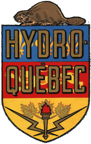 Economic Nationalism