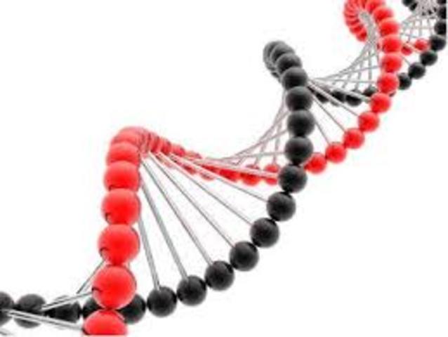 Gén de la hipertensión