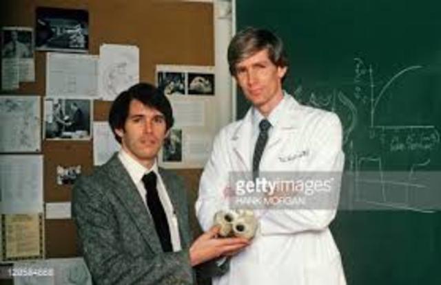 Primer corazón sintético permanente