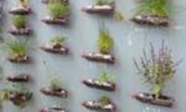 Y POR ULTIMO ATAR LA SOGA POR LOS HOYOS DEL CUELLO DE LA BOTELLA,DEJAR EL LARGO NECESARIO AL GUSTO Y LUEGO ATARLO AL GANCHO