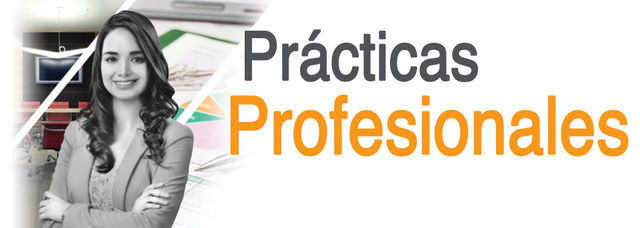 Práctica Profesional