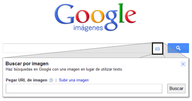 Informe de Google
