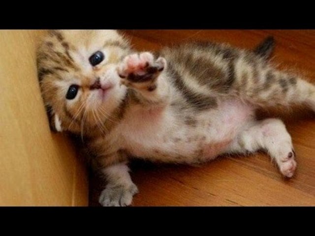 William Golding's Birth