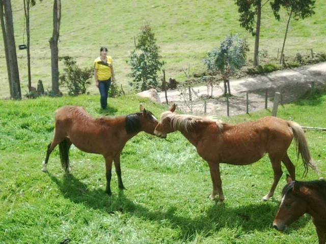 Visita a Carmen de Carupa