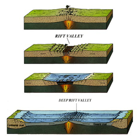 Expansión del fondo de los océanos(H. Hess)