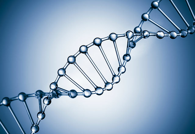DNA is Used for Unique ID