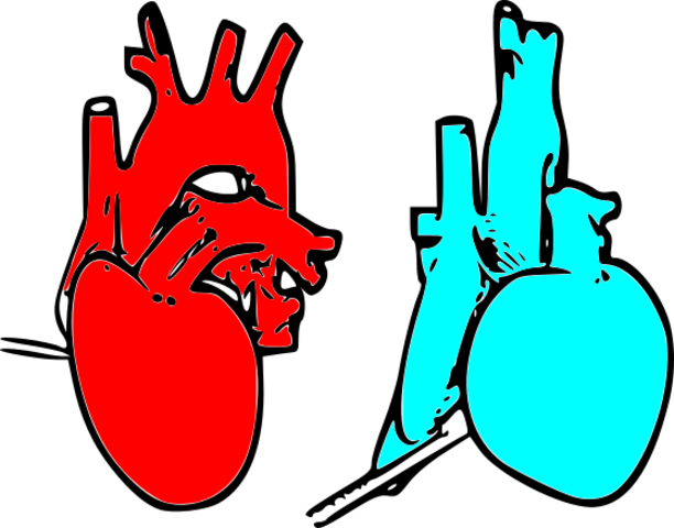 corazón artificial 1966