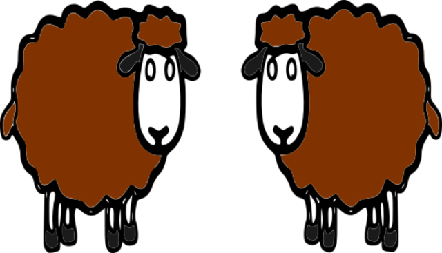 CLONACION DE OVEJA DOLLY