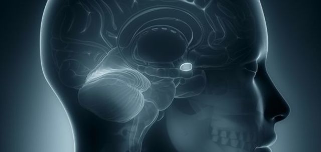 Malmo y Shagass (1949)