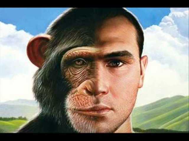 la linguisticidad hermenéutica